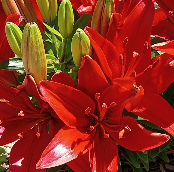 Meet your Posher, Brittany - Picture 2 of 2